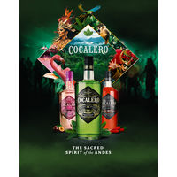 コカレロ ピカンテ 29度 700ml 1本 リキュール 国分 正規品