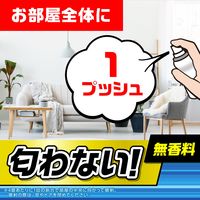 【旧品】コバエ 駆除剤 スプレー アースコバエ 1プッシュ式スプレー 60回分 無香料 コバエ対策 退治 除去 アース製薬 1本