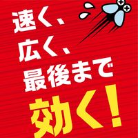 【旧品】虫除け 玄関ドア 対策 虫よけネットEX 玄関用 1年用 1個 吊るす 吊り下げ 不快害虫 寄せ付けない アース製薬