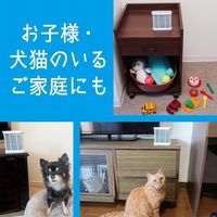 シンカトリ 次世代型 屋内蚊取り 電源不要 300日 無臭 1セット KINCHO キンチョー