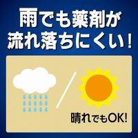 蚊に効く 虫コナーズプレミアム アミ戸に貼るタイプ 250日 1セット（1箱（2個入）×3） KINCHO キンチョー