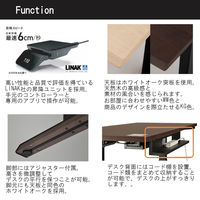 【軒先渡し】コイズミファニテック GENTLER L型昇降デスク ホワイトウォッシュ×ブラック 1台（直送品）