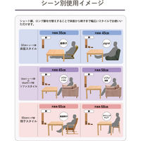 光製作所 HK-フェルテ105WN 1台（直送品）