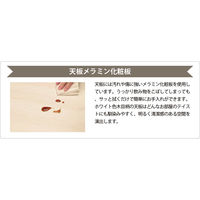 光製作所 HK-ロティ 1台（直送品）