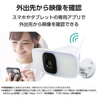 ネットワークカメラ 屋外 ワイヤレス 3MP 自動追尾(パン) 1500lm LEDライト CNW4CPF1 DXアンテナ 1個（直送品）
