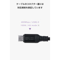 タイプC ケーブル 100W PD対応 C-C 0.5m/1m/2m ブラック MPA-CCEC5PSTHBK エレコム 1個（直送品）