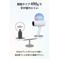 ドライヤー 速乾 大風量 プロテクトイオン 静電気抑制 低温ケアモード搭載 ブルーグレー TD561A-H テスコム 1個（直送品）