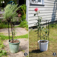 住まいスタイル アイアン製植物サポーター幅25 8本セット IF-N0049-8P 1セット(8本入)（直送品）