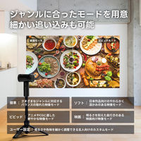 JMGO ボトル型モバイルプロジェクター PicoPlay+ J61-7K4 1台（直送品）