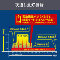ムサシ ソーラー外壁・フェンスライト S-C1200L 1個（直送品）