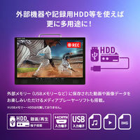ダイアモンドヘッド 3波チューナー搭載14型コンパクトTV OT-3PT14AK 1台（直送品）