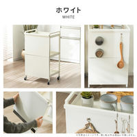 武田コーポレーション キャスター付きスチールワゴン用隠し板 LN-H6-KKSWH 1箱(4個入)（直送品）