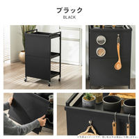 武田コーポレーション キャスター付きスチールワゴン用隠し板 LN-H6-KKSBK 1箱(4個入)（直送品）