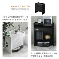 武田コーポレーション ロボット掃除機対応 ケーブル収納ボックス LN-H6-ROKBK 1箱(1個入)（直送品）