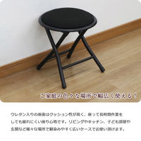 エイ・アイ・エス 折畳ロースツール ブラック AHFL-03x6pcs BK 1セット(6脚入)（直送品）
