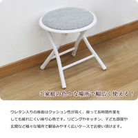 エイ・アイ・エス 折畳ロースツール グレイ AHFL-04x6pcs GY 1セット(6脚入)（直送品）