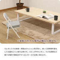 エイ・アイ・エス 折畳座厚ローチェア グレイ AHTL-02x6pcs GY 1セット(6脚入)（直送品）