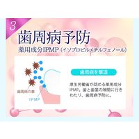 薬用Pearl White Pro Shine 120g ベルガモット＆ミント 美白 美健コーポレーション