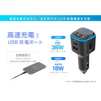 カシムラ FMトランスミッター フルバンド USB2ポート KD-271 1個（直送品）