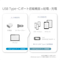 カシムラ USB充電&同期ケーブル 1m C-C 100W AJ-674 1個（直送品）