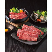 ユナイテッドスペース EXETIME PLATINUM★10(2年期限) 25204001 1個（直送品）