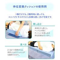 クッション2個+カバー2枚 セット 幅400mm 枕 リハビリ 介護 医療施設 THC-1SC-AW 1セット(クッション+カバー)（直送品）