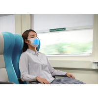 アイリスオーヤマ ナノエアー うるおい保水ぬれマスク プリーツタイプ ふつうサイズ20枚入 NWE-PK20 1箱(20枚入)