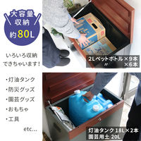 住まいスタイル 「horn/ホルン」 宅配機能付き 収納ベンチ DB-003BLU 1台（直送品）