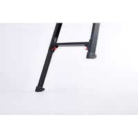 長谷川工業 はしご兼用伸縮脚立 RYZB-21a 1式（直送品）