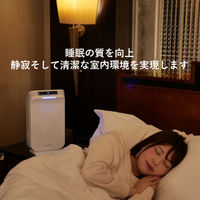 日本バイオテクノファーマ Wellis Air 空気清浄機 JBPMDA0021 1台（直送品）