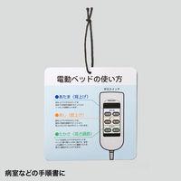 サンワサプライ カラーレーザー用 耐水紙・特厚 A3サイズ LBP-WPF22MDPN-A3 1冊