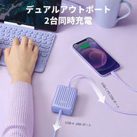 ZENDURE SuperMini パープル ZDSM10PD-PU 1個（直送品）