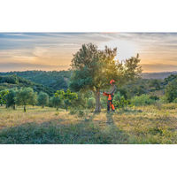 ハスクバーナ・ゼノア オールラウンド・ソー　439　35cm 967340514 1台（直送品）