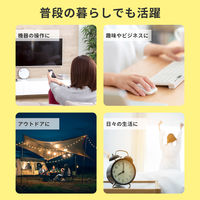 アルカリ乾電池 単1形 20本入り 10年保存 長期保存 防災 備蓄 まとめ買い LR20-AD20SBS 1箱(20本入 4本×5)（直送品）