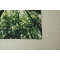 イケヒコ PVCトイレマット フォレスト 約550×600mm グリーン 1301280011401 1枚（直送品）