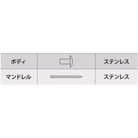 ロブテックス ブラインドリベット（ステンレス／ステンレス製）　3ー2（50本入）　エコパック NST32MP 1パック