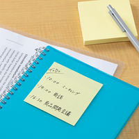 ニチバン 再生紙ポイントメモ M-2Y 10個