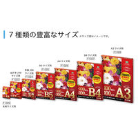 アスカ ラミネーター専用フィルム 名刺 100ミクロン 100枚入り F1022 2箱