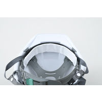 グリーンテック ひたいの汗とりパッド 1セット（50枚入り） 抗菌・消臭 汗シミ防止フィルム メントール配合