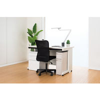 天馬 フィッツワーク 防災用品も入るデスク下引出ケース SL2段 1個