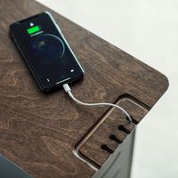 ソファサイドテーブル(デスクサイドテーブル・USB充電器収納タイプ・天然木/スチール使用・ブラック) 200-STN030BK 1個（直送品）