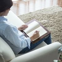 サンワダイレクト 膝上テーブル（ノートパソコン・タブレット・15.6インチ・ラップトップテーブル・木目調） 200-HUS006 1個（直送品）