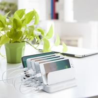 サンワダイレクト 充電器ステーション（USB充電器・スマホ・タブレット対応・最大9.6A/60W・6ポート搭載） 700-AC020W 1個（直送品）