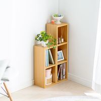 サンワダイレクト メディアラック（2段・木製・収納ラック・隙間収納・スリムラック・ライトブラウン） 200-FCD060LBR 1個（直送品）