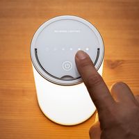 サンワダイレクト LEDライト(ランタン・6段階調整・充電式・タッチパネル・昼白色・電球色・リバーシブル) 800-LED025 1本（直送品）