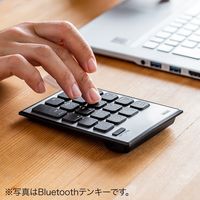 サンワダイレクト ワイヤレステンキー（無線・モバイル・持ち運び・薄型・小型・パンタグラフ・アイソレーション・電池式） 400-NT002 1個（直送品）