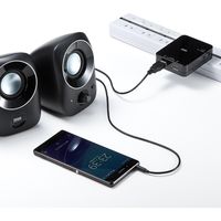 サンワダイレクト PCスピーカー(USB電源・小型・3.5mm接続・高音質・4W) 400-SP067 1個（直送品）