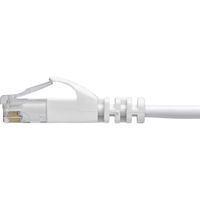 サンワダイレクト Cat6 スリムLANケーブル 5m （カテゴリー6・より線・ストレート・ホワイト） 500-LAN6SL05W 1本（直送品）