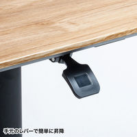 サンワサプライ ガス昇降ミーティングデスク 幅1500×奥行800×高さ765～1165mm ブラック ERD-MTGA15080LM 1台（直送品）