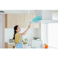 山崎産業 2989.jp+ ムーンダスターFーEX ホコリ払い 静電払い ハタキ 2本